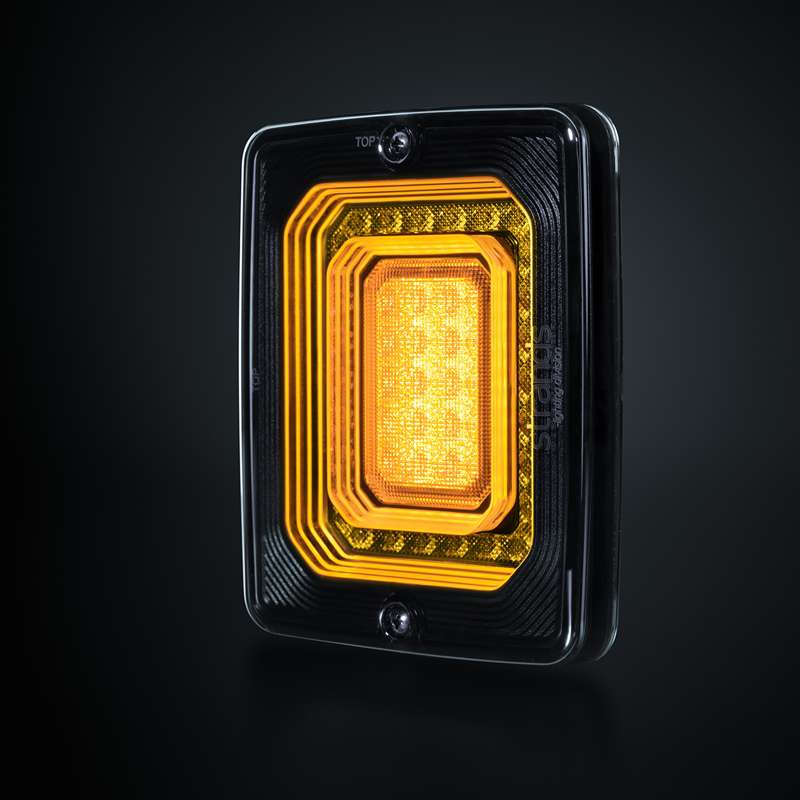 FOR9T ILLUSION INDICATOR LIGHT